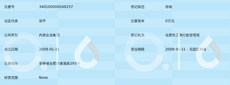 合肥庐阳国有资产投资控股集团与合肥工商注册 流程、要点与机遇解析